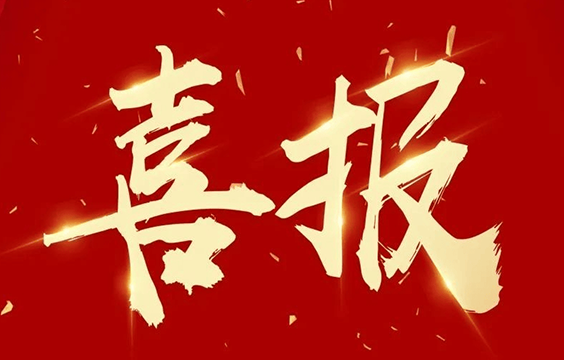 榮登“鹽城新春第一榜” | 晟功集團(tuán)獲評(píng)五星級(jí)企業(yè)認(rèn)定